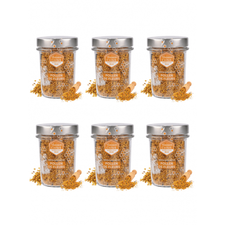 lot de 6 pots de pollen de fleurs lot de 6 pots de pollen de fleurs