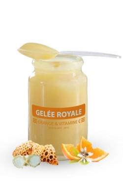 vitamine c gelée royale