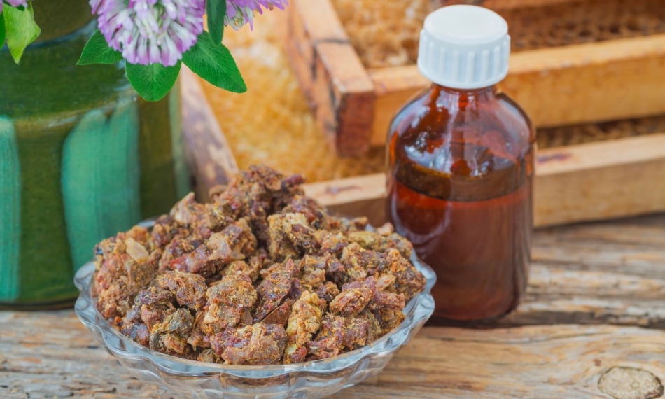 La propolis : quand les abeilles transforment la résine